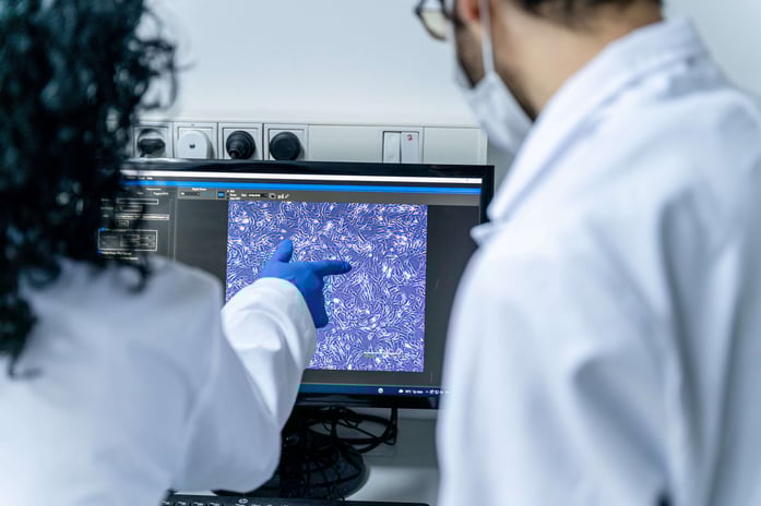 Scientists of Aleph Farms analyzing collagen-producing cells under a microscope. Credit_ Daniel Elkayam